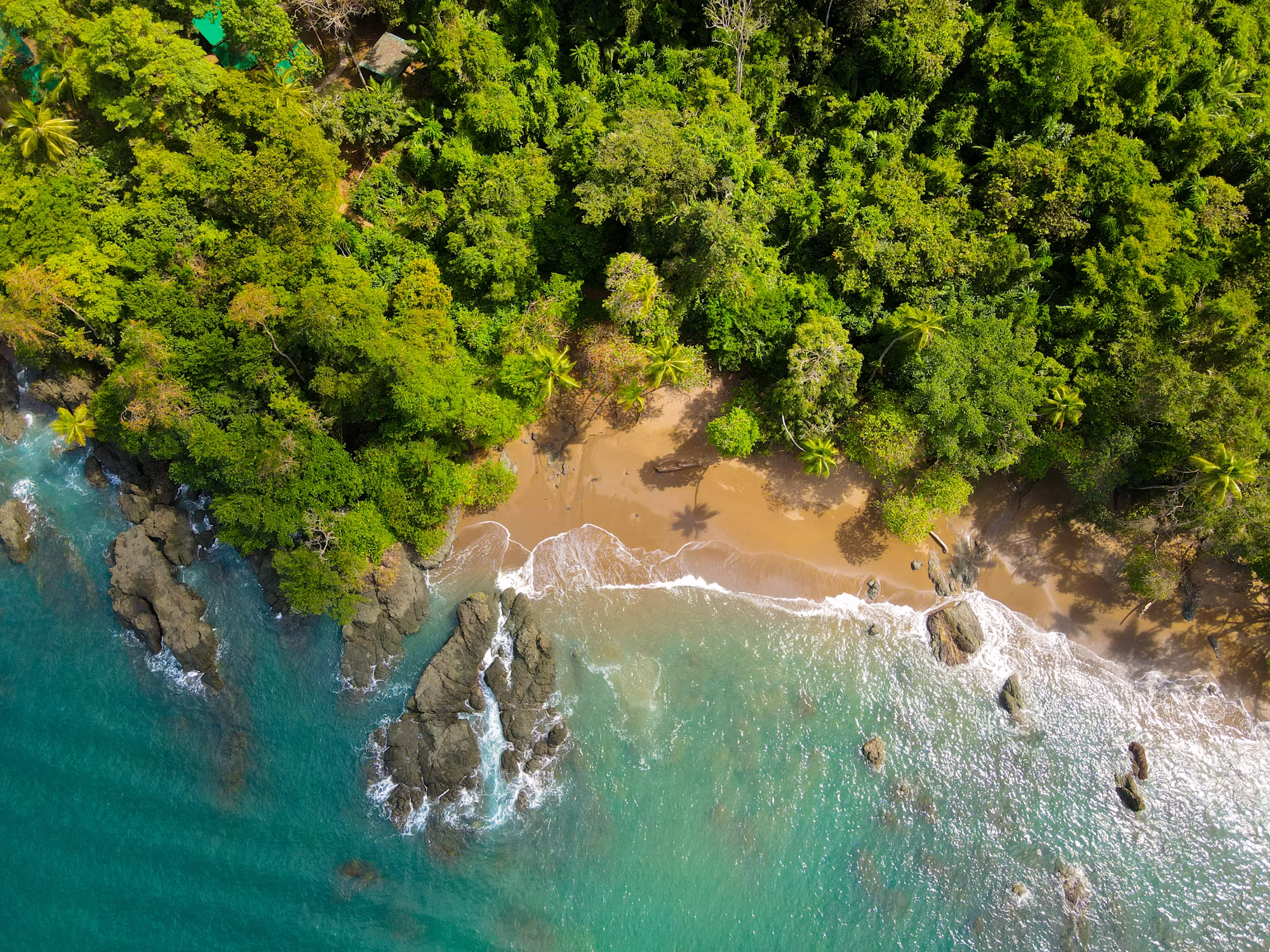 The Joy of Solo Travel: Embracing Independence and Adventure